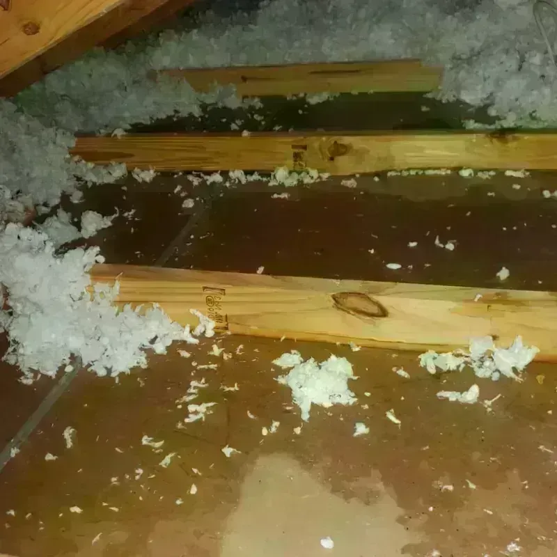 Attic Water Damage in Washington County, IN