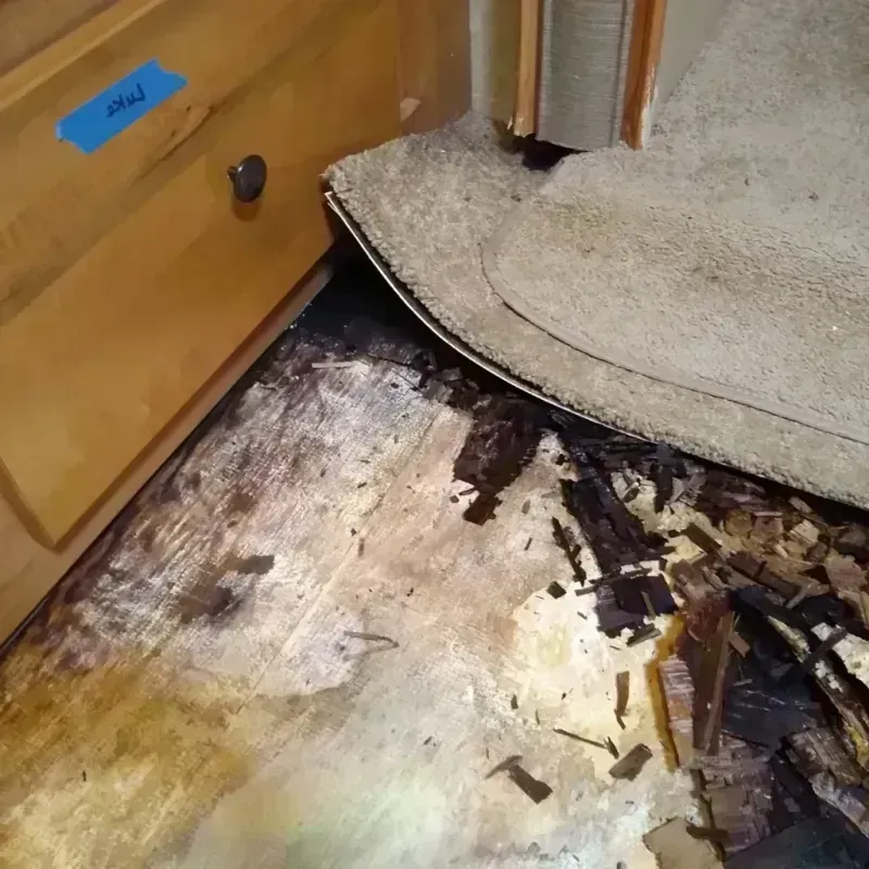 Best Wood Floor Water Damage Service in Washington County, IN